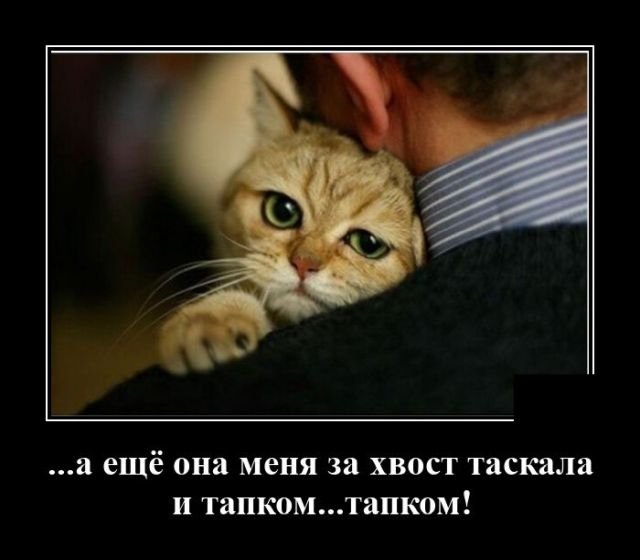 руки дирижера'